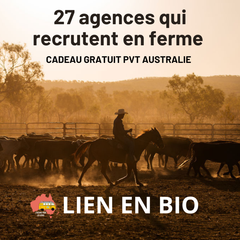 Comment Trouver Un Job En Australie Guide Complet 2024