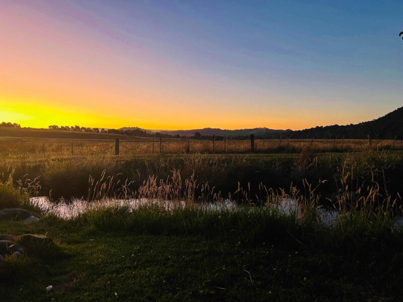 Au revoir Yarra Valley Caviar, tu vas me manquer !
Ferme de saumon Australie