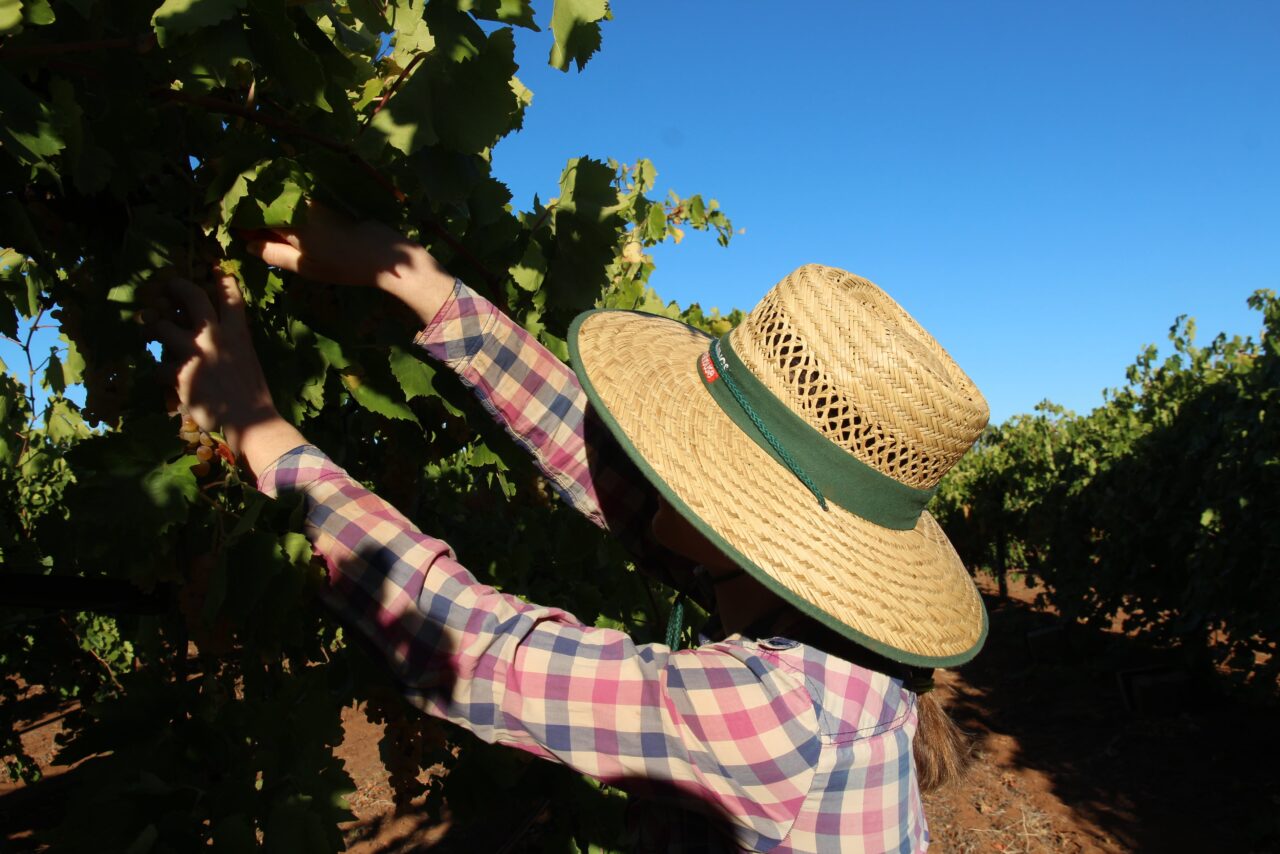 Le Travail Dans Les Mines En Australie Guide